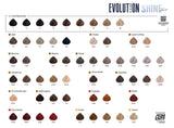 Alfaparf EOC Shine Color Tubes 60ml